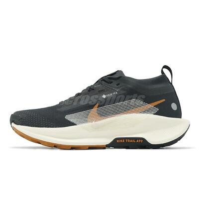 Nike Pegasus Trail 5 GTX Gore-Tex BlackMonarch Pale Men Trail