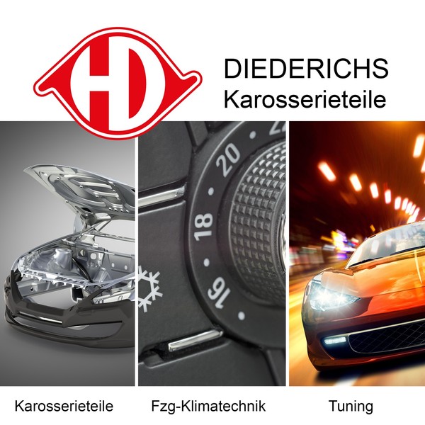 1X LüFtungsgitter, StoßFäNger Diederichs 1471045 Passend FüR Ford-image