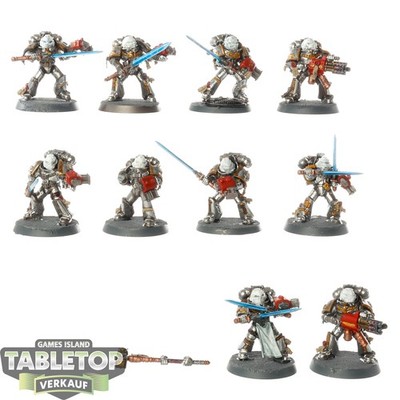 Grey Knights - 10x Grey Knights Strike Squad - bemalt