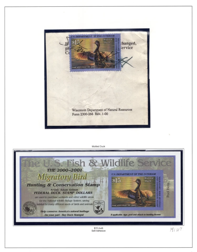 US 1999-2005 DUCK HUNTING COLLECTION OF TWELVE $15 STAMPS FIVE ARE MINT UNSIGNED - Image 3 of 4