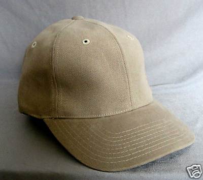 Cap American Needle blank Cap Beige Kappe 