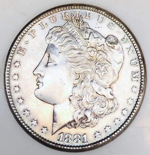 1881 S MORGAN DOLLAR TONED MS+++! BEAUTIFUL SILVER COIN! SO MUCH SHINE! NR#G3029
