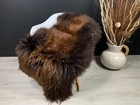 XXL Sheepskin  Premium Genuine Exquisite Beautiful Natural Rug Pelt Throw Pet