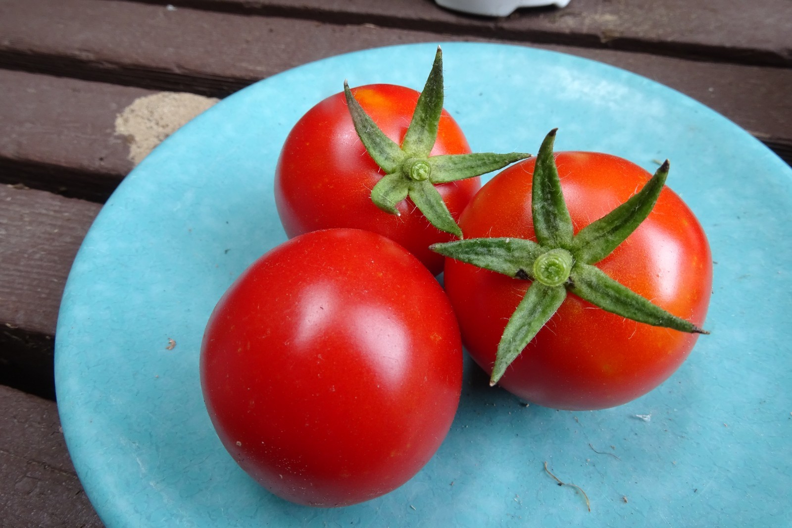 Mallorca - un tomate de invierno de España que también es una ensalada de tomate perfecta
