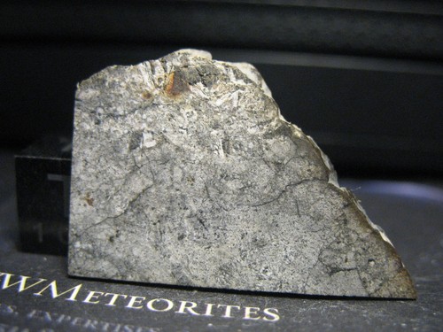 NWA 13436 - Eucrite - Polymict Breccia (Basaltic + Fine-grained recryst. Clasts)
