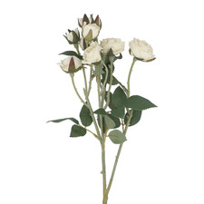 Artificial Cream Rosebud Spray Faux Rose Stem with Buds and Leaves Gisela Graham