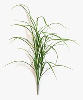 Artplants Deko Seegras Katerina Auf Steckstab, Crossdoor, GrüN, 80Cm