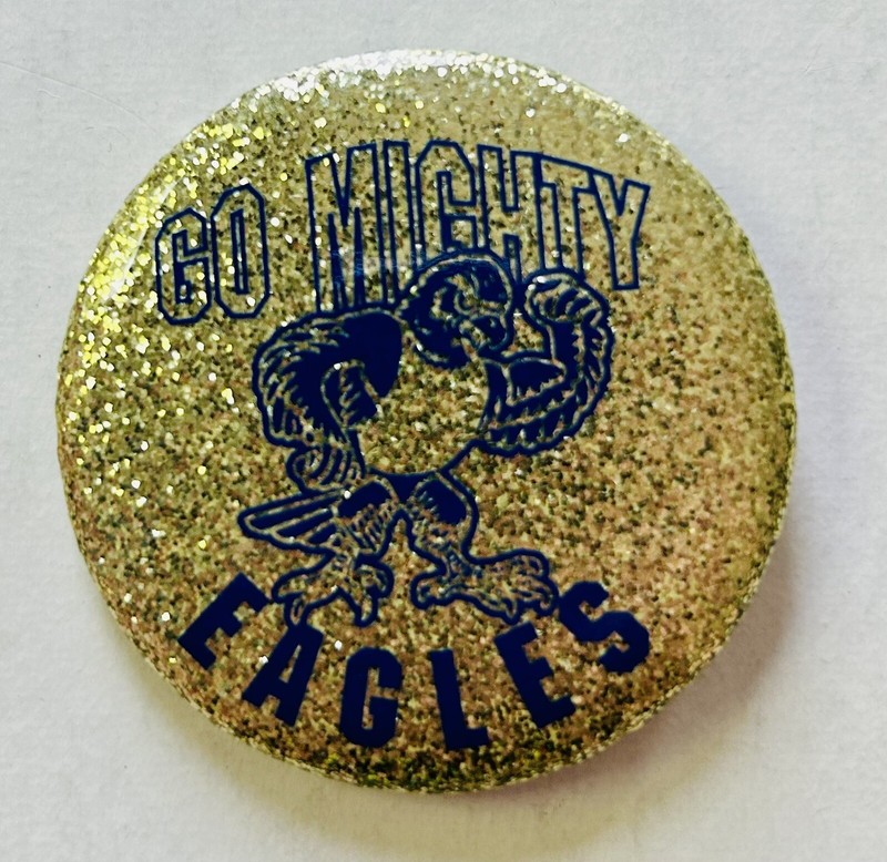 Go Mighty Eagles Gold Blue Button Lapel Pin 2.25” Bird