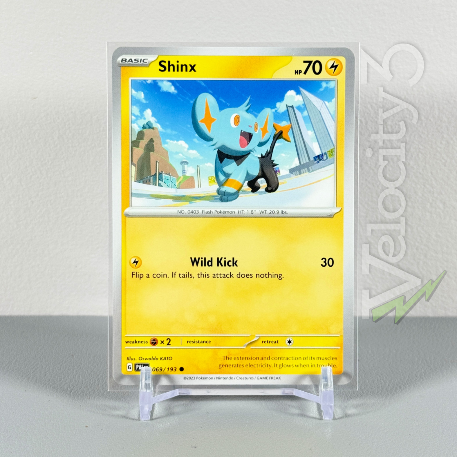 Pokemon TCG Card: SHINX 69/193 | Common | Paldea Evolved | NM/Mint