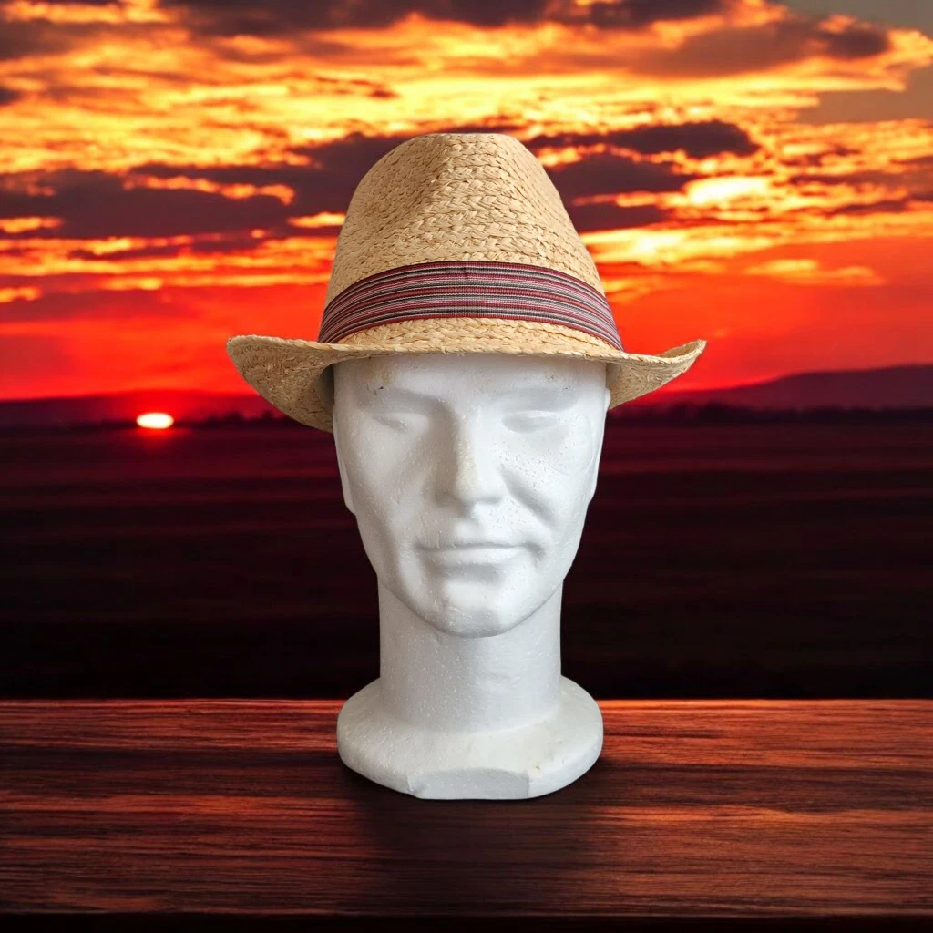FAILSWORTH MURCIA MENS STRAW HAT TRILBY SUMMER COLOUR BAND BROWN
Opens in a new window or tab