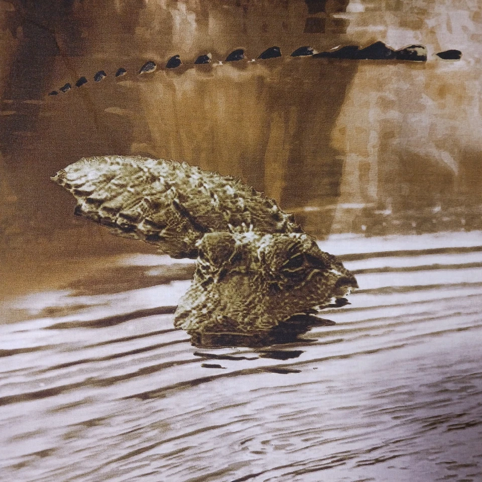 Panel de tela Realtree Alligators #9956 35" x 44" Foto 3 de 4