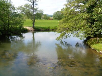 Photo 6x4 Leintwardine features [3] The River Teme looking upstream. Seen c2021