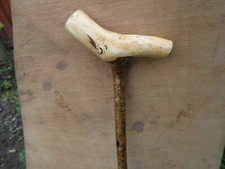 hazel natural handle Walking Stick Shillelagh VERY STRONG and solid