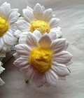 Bild 2 von 12