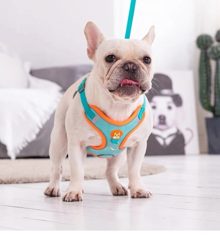Dog Harness Set No Pull Adjustable Reflective Breathable Harness French Bulldog