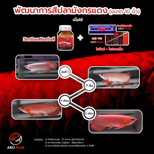 CZ AQUA ARO PLUS Red Burn color enhances powder accelerate boost dragon fish - Picture 3 of 6