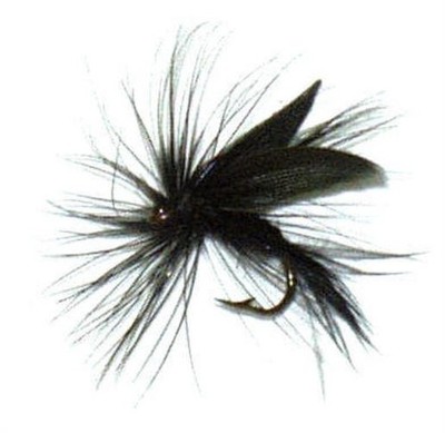 Danielson FD171-12 Schwarze Gnat Fliegen Größe 12 2CT