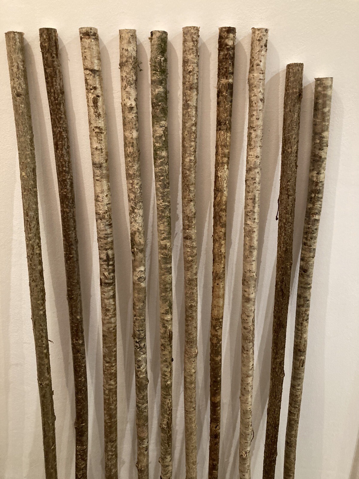 hazel walking stick shanks eBay