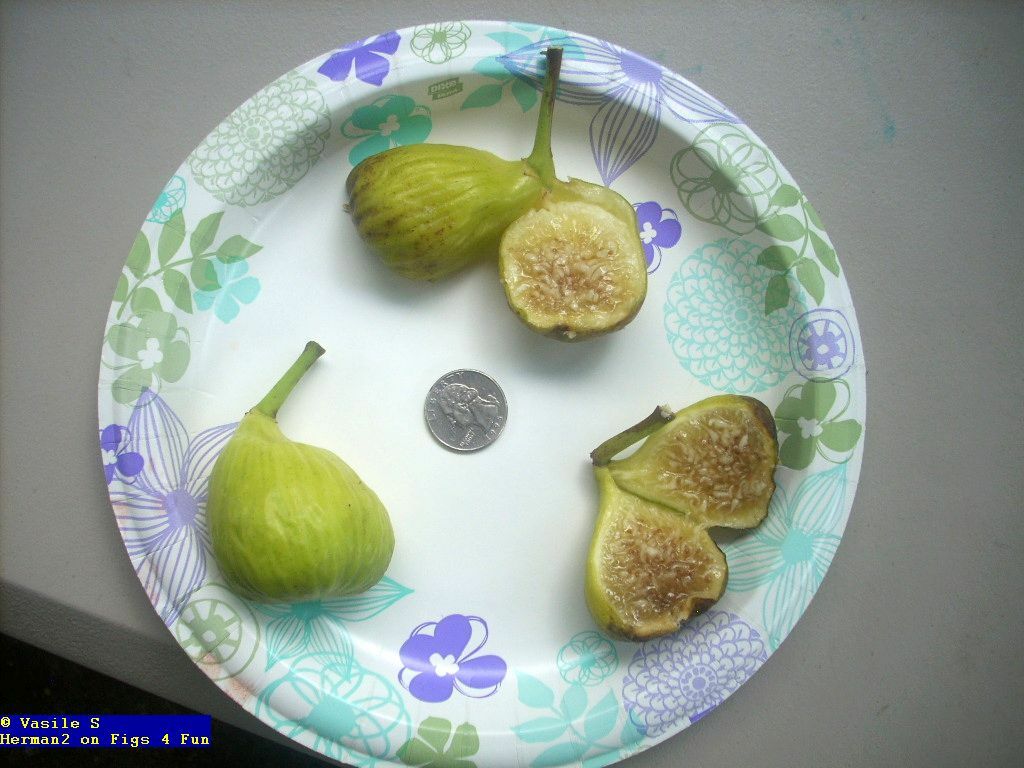 Picture 6 of 7