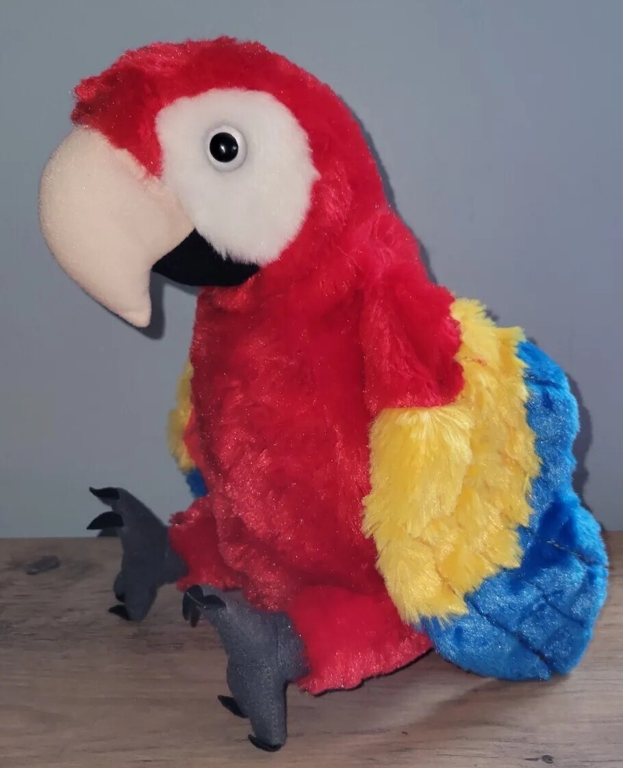 Scarlet Macaw 12