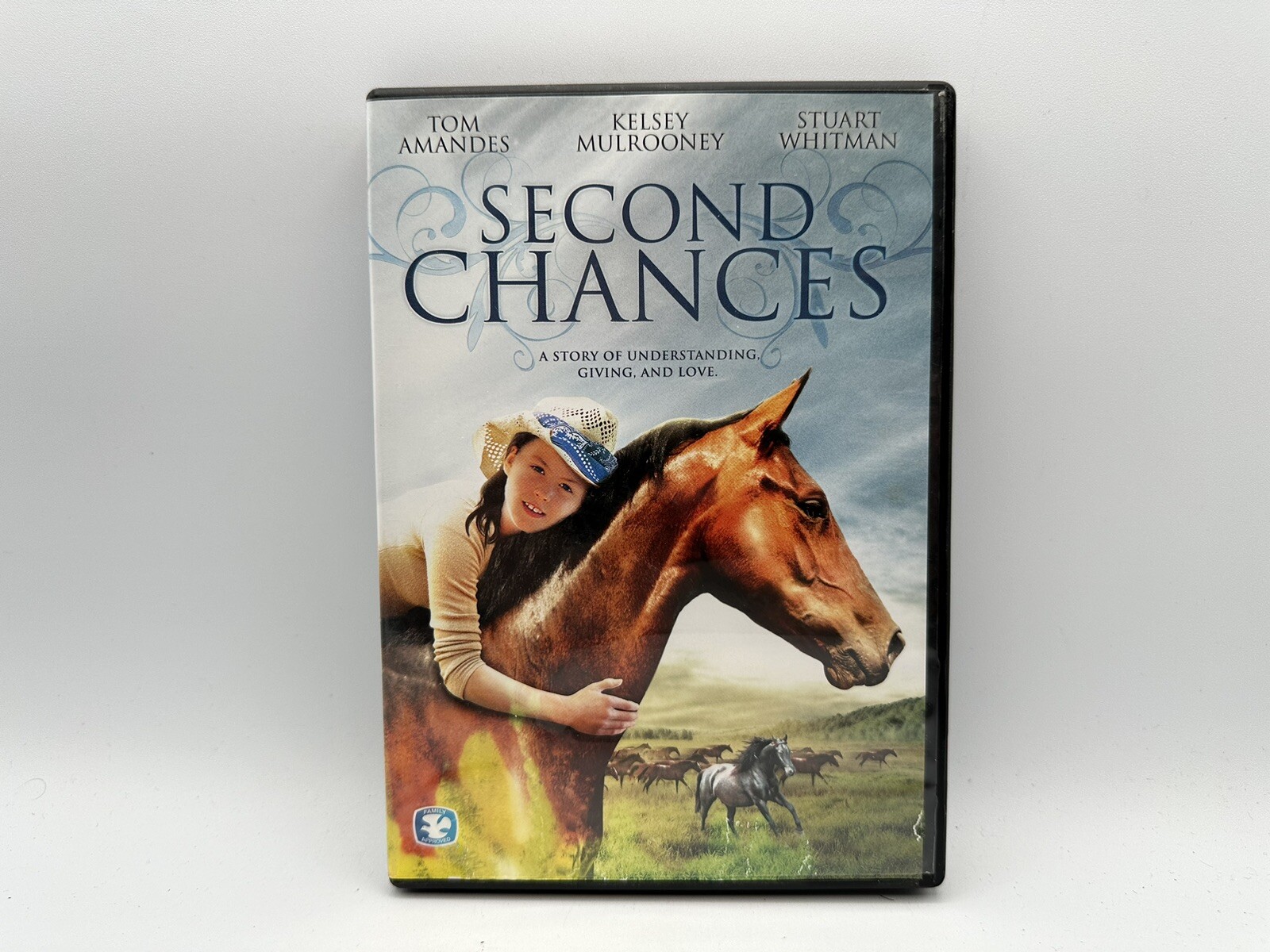 Second Chances DVD Family Approved Tom Amandes Kelsey Mulrooney 2009