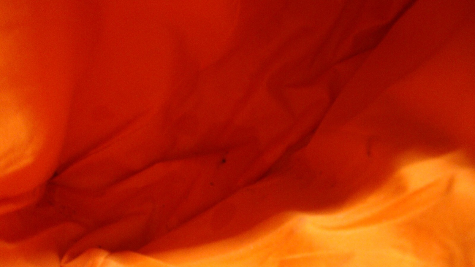 Picture 6 of 6