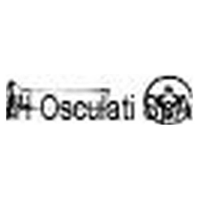Screws sv.goc.cro. 3X30 AISI 304 MET/TGS3X30 Stainless Steel - 200 pcs Osculated - A2
