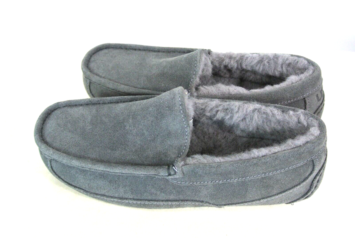 NEW UGG Men display picture 2