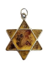 Star of David Pendant 925 Sterling Silver Real Dry Flowers 25mm W x 30mm H