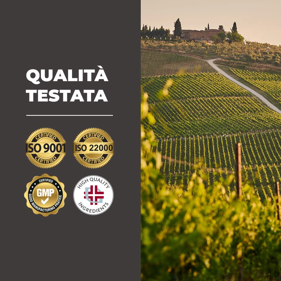 Bandini® Vitamina B Complex 180 Compresse ad Alto Dosaggio - Vegan (Per 6 Mesi) - Immagine 4 di 4