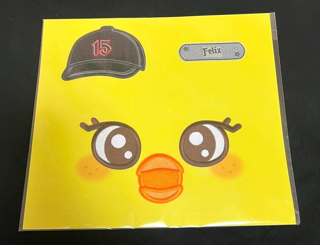 Stray Kids BbokAri Felix Custom Wappen Sticker World Tour dominATE