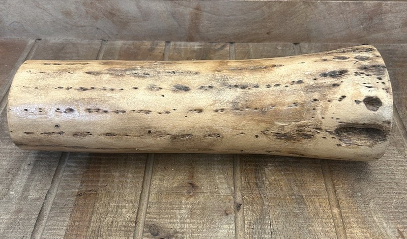 Rain Stick Cactus Wood 10” Natural Musical Instrument Rainmaker