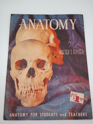 Vtg Anatomy For Students and Teachers by Walter Foster 1962 No. 21 Art Manual