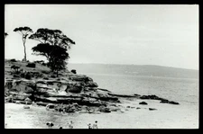 Postcard ~Balmoral Beach, Sydney ~G.Vince Series ~RPPC