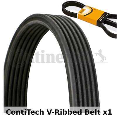 ContiTech V-Ribbed Belt - 6DPK1195 , 6 Ribs - Fan belt Alternator, Drive  Belt | eBay