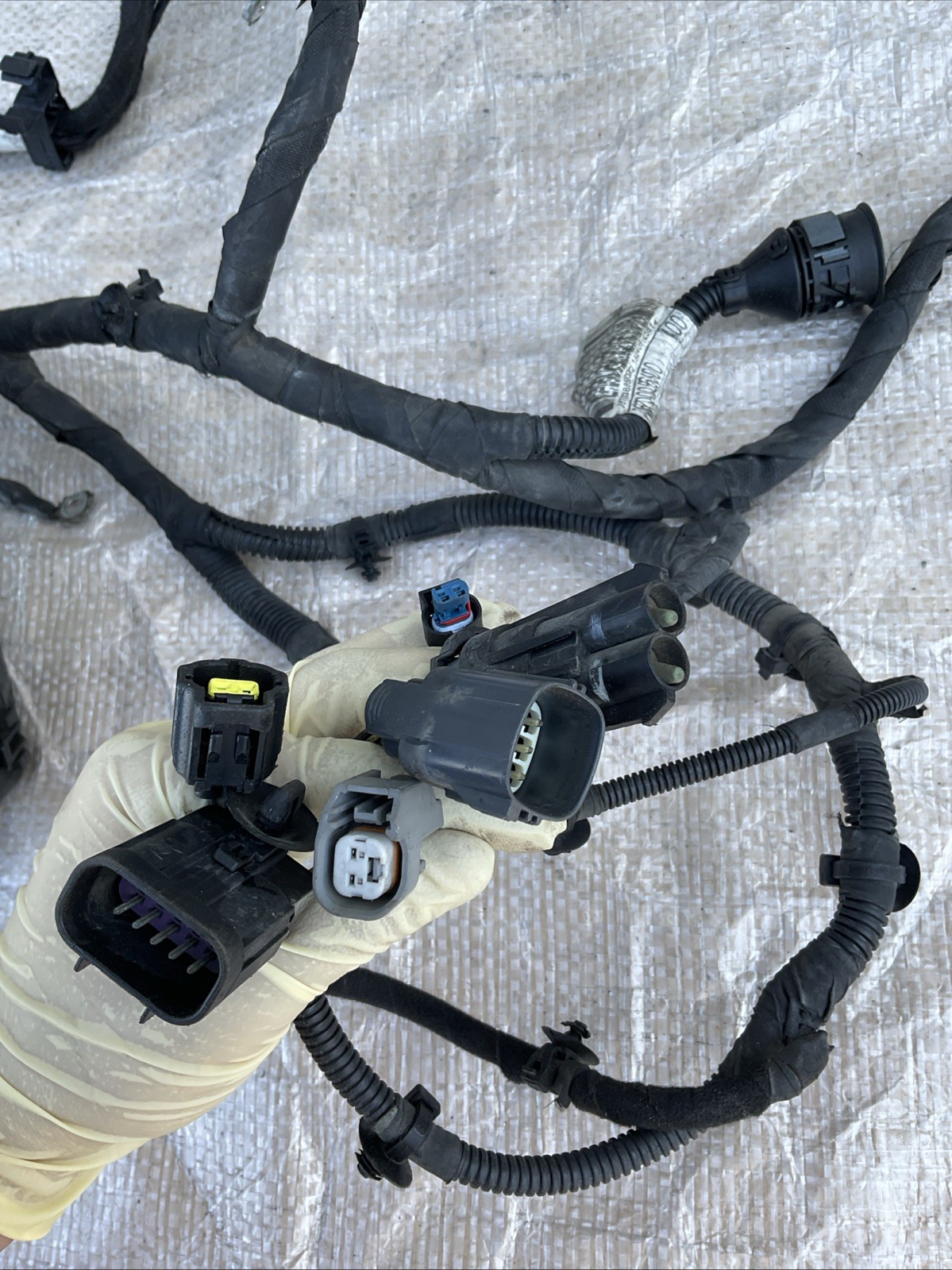 14-17 Maserati Ghibli Main Engine Complete Harness Wiring Assembly 670003795