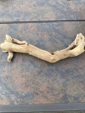Natural Driftwood for Plants Terrarium Taxidermy Art Projects