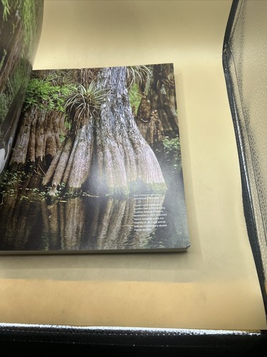 THE NATIONAL PARKS: AN ILLUSTRATED HISTORY National Geographic Very Good - Picture 7 of 14