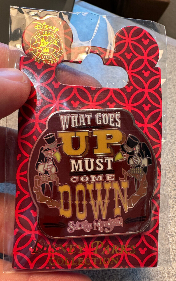 DISNEY PIN SPLASH MOUNTAIN VULTURES WHAT GOES UP MUST COME DOWN