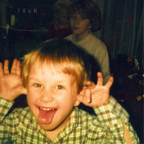 Bill Ryder-Jones Yawn (Vinyl LP) 12" Album