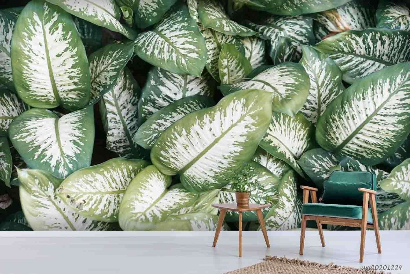 3D Plants Leaves Close-up Wall Murals Wallpaper Murals Wall Sticker