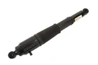 GENUINE GM PARTS 85669840 Suspension Shock Absorber