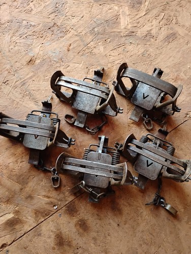 5 #3 Victor Traps.