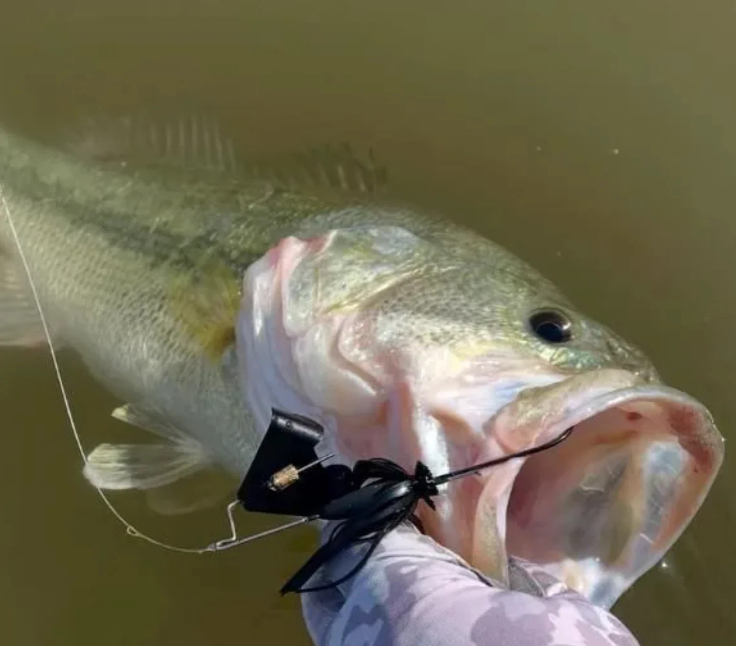 Teckel MAXQUEAKER 3/8oz #001 BLACK BLUE Color Buzzbait Topwater NEW Japan - Image 2