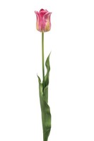 artplants Deko Blume Tulpe Sidra, Pink-GrüN, 65Cm