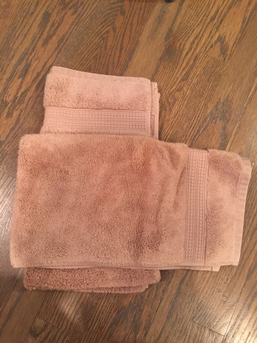 LOFT By LOFTEX Costco Collection 2 Tan Beige HAND TOWELS 15” X 28