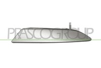 Prasco TüRgriff, Innenausstattung Hinten, Innen, Links, Vorne U.A. FüR Abarth