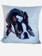 Taupe Boston Terrier Print 18  x 18  Throw Pillow, Solid White Back