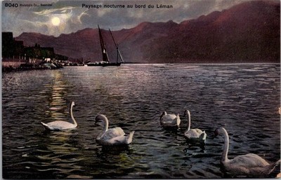 Lake Geneva Swans Moonlight Night Scene Antique Swiss Postcard [AA]