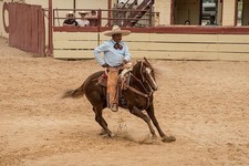 Foto: San Antonio Texas 2014 Charreria Mexicano Rodeo Fiesta Caballo Vaquero